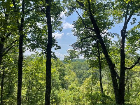 Photo of 1200 Jewel Court NE, Ranger, GA 30734 (MLS # 10183416)