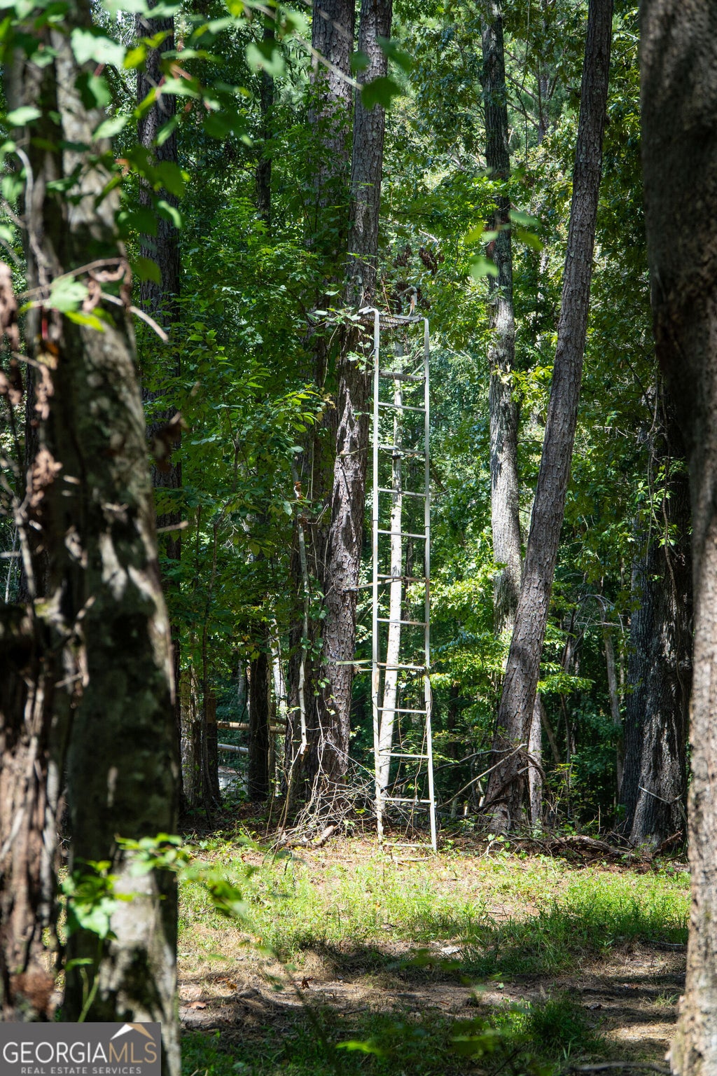 Photo of 120 Styles Lake Road, Waco, GA 30182 (MLS # 10836083)