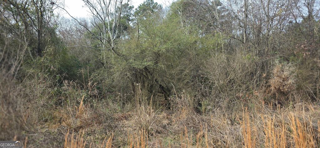 Photo of 7025 Sofkee Place, Macon, GA 31216 (MLS # 10670738)