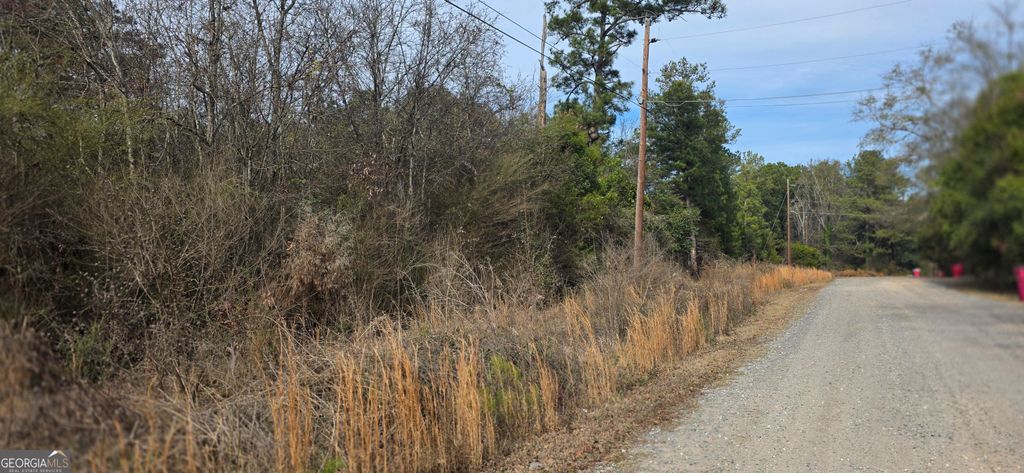 Photo of 7025 Sofkee Place, Macon, GA 31216 (MLS # 10670738)