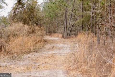 Photo of 0 Bunn Store Road #TRACT 1, Midville, GA 30441 (MLS # 10696910)