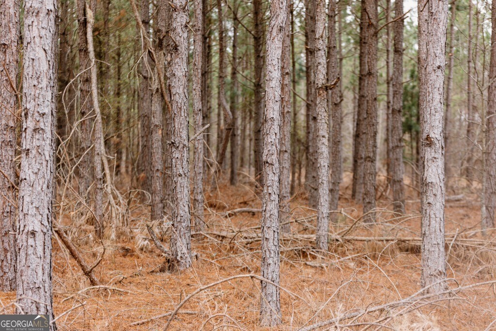 0 Bunn Store RD TRACT 1