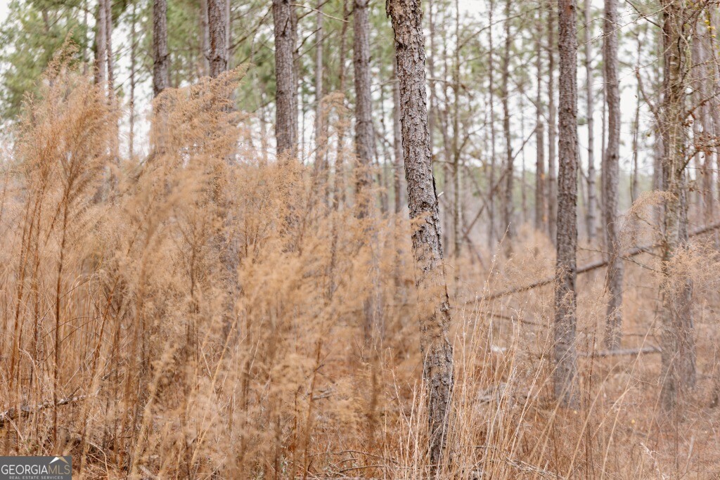 0 Bunn Store RD TRACT 1