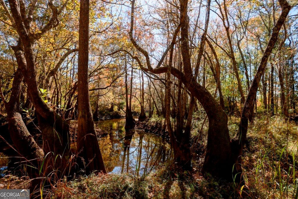 Photo of 0 Twin Forks Rd/Martin Road #TRACT 5, Statesboro, GA 30458 (MLS # 10700121)