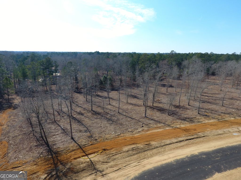 Photo of 0 Holly Ridge Road, Dublin, GA 31021 (MLS # 10693616)