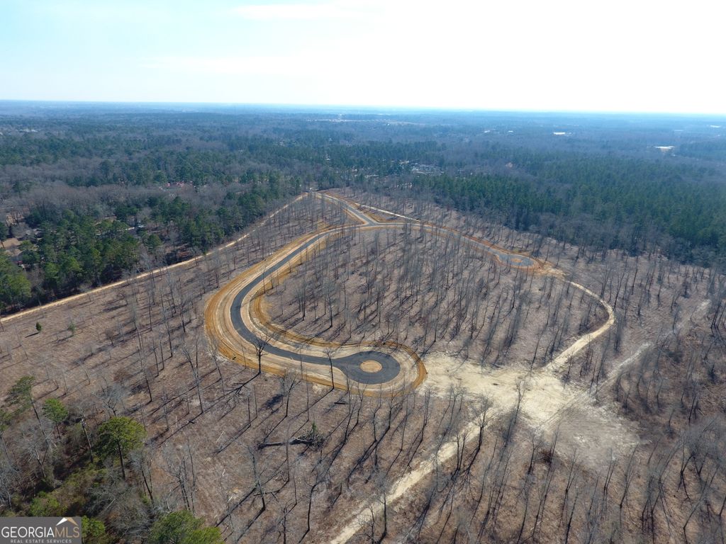 Photo of 0 Holly Ridge Road, Dublin, GA 31021 (MLS # 10693616)