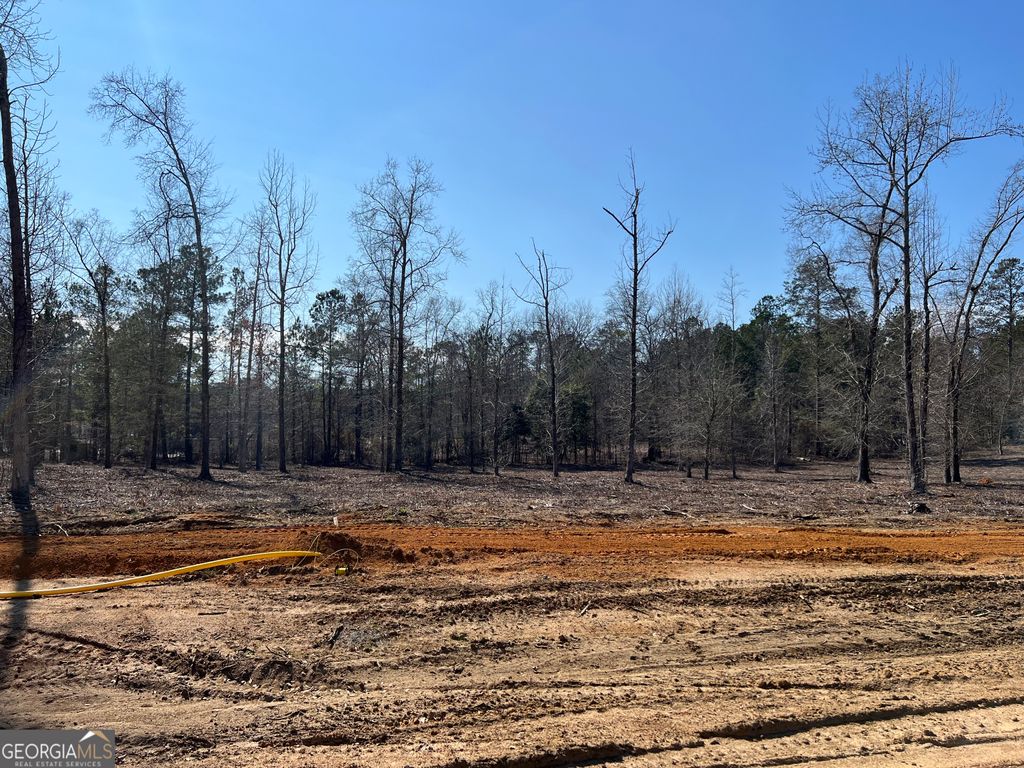 Photo of 0 Holly Ridge Road, Dublin, GA 31021 (MLS # 10693616)