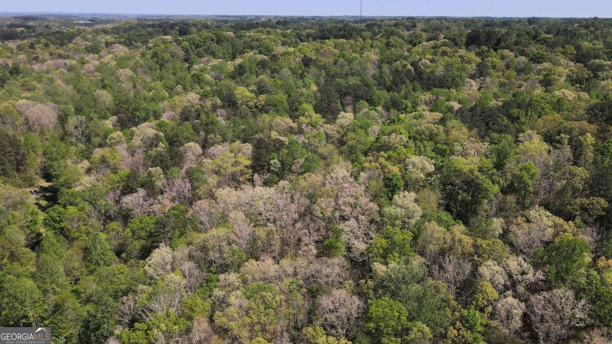 0 Crane Mountain RD