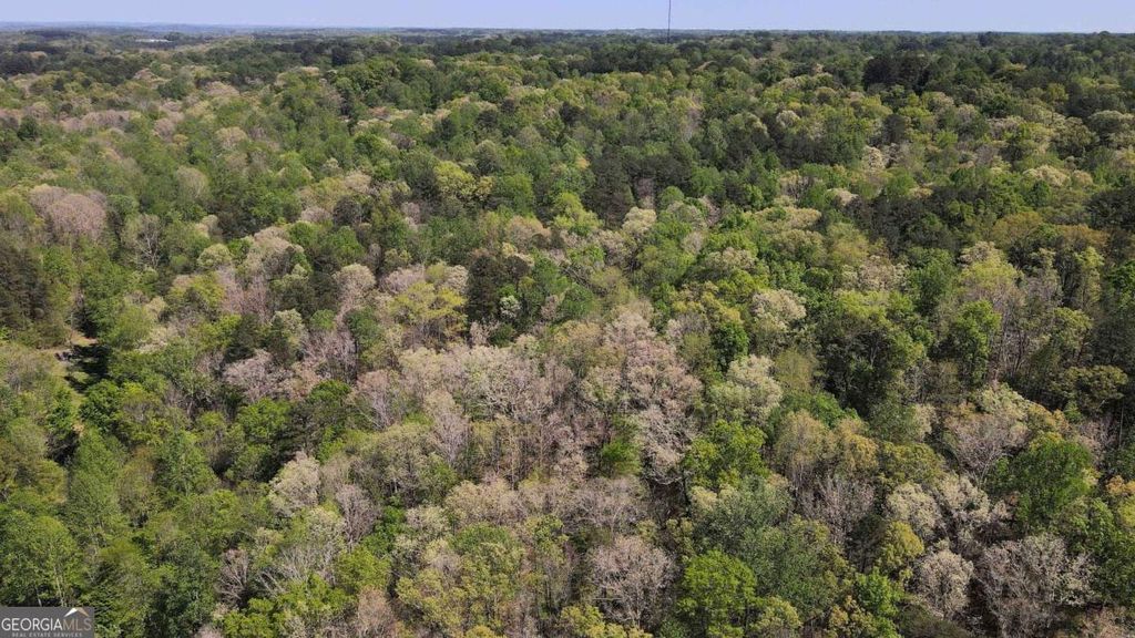 Photo of 0 Crane Mountain Road, Toccoa, GA 30577 (MLS # 10774732)
