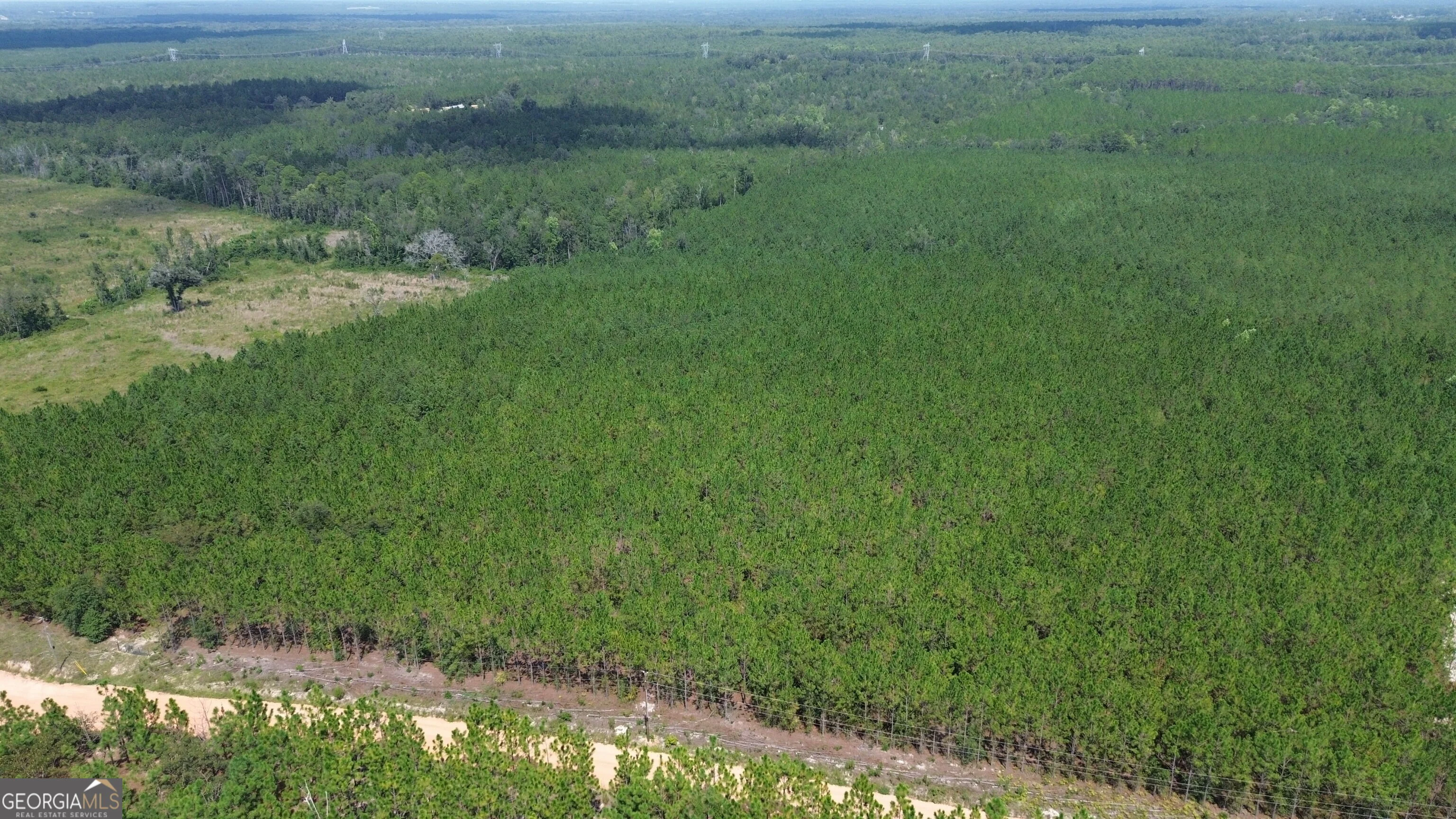 TRACT 2 Penny Morris Road, Baxley, GA, 31513