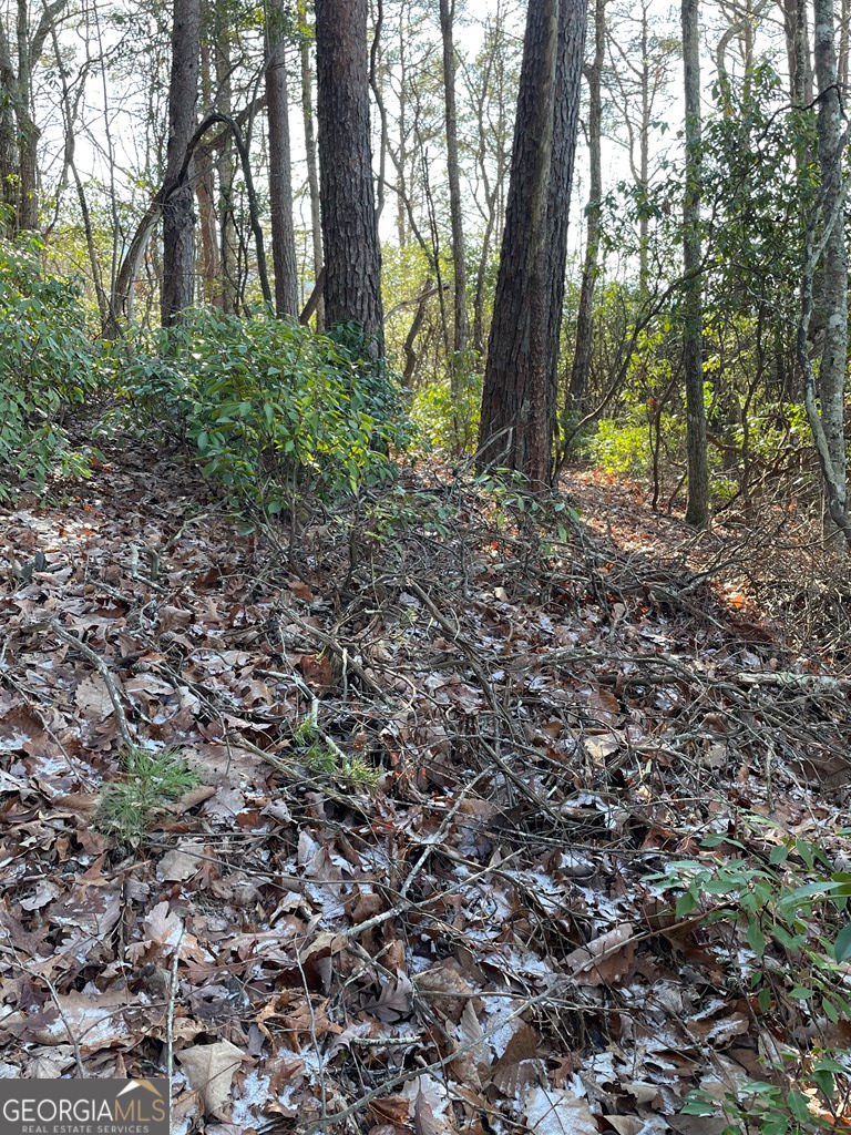 45.63 ACRES Winchester Creek