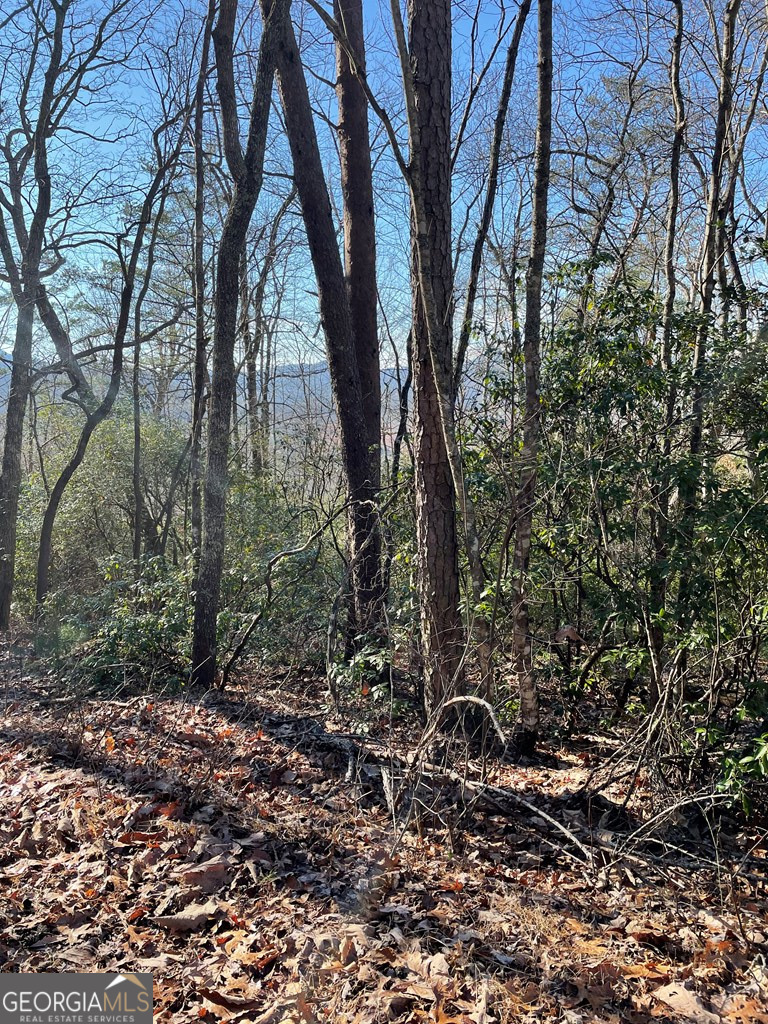 45.63 ACRES Winchester Creek