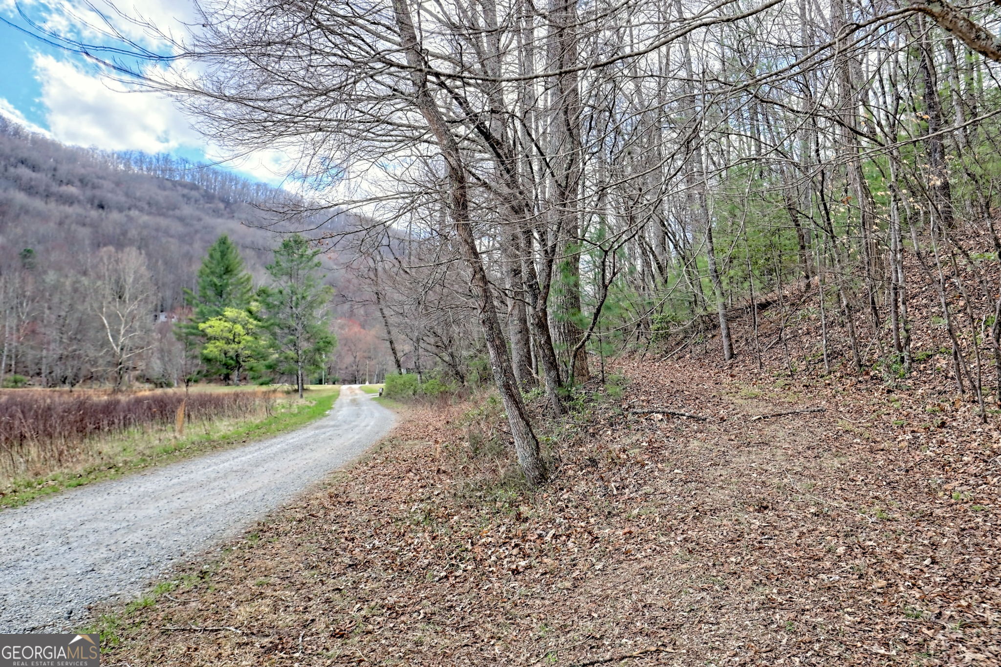 Otto, North Carolina 28763, United States, 1 Bedroom Bedrooms, ,1 BathroomBathrooms,Residential,Active,94032