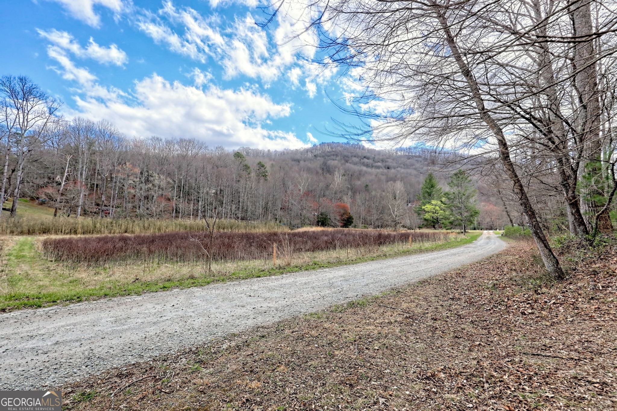 Otto, North Carolina 28763, United States, 1 Bedroom Bedrooms, ,1 BathroomBathrooms,Residential,Active,94032