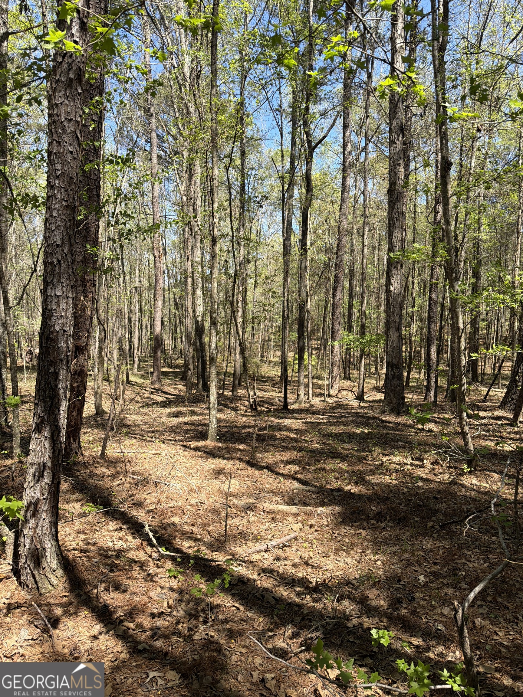 0 Old Union Point RD