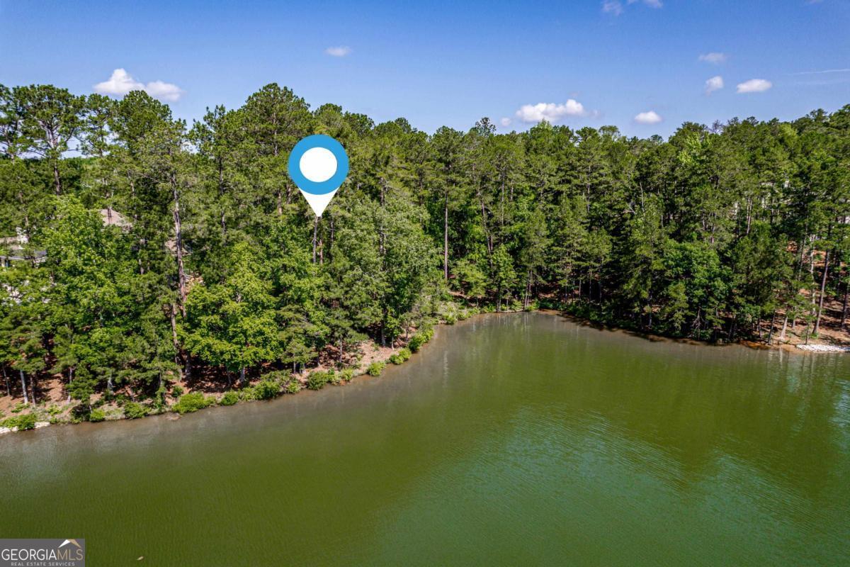 1103 Painted Bunting DR