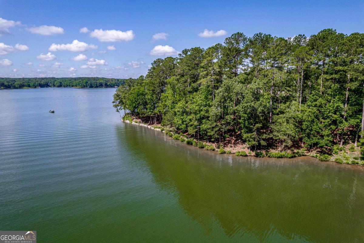 1103 Painted Bunting DR