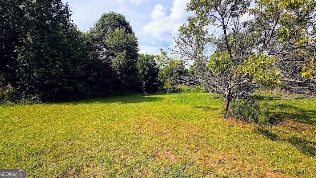 Photo of 380 Nix Road, Bremen, GA 30110 (MLS # 10785987)