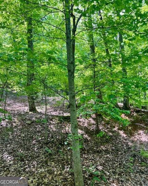 Photo of 220 Yanegwa Knoll, Dawsonville, GA 30534 (MLS # 10518507)