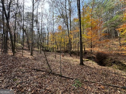 Photo of 0 Old Middleton Road, Elberton, GA 30635 (MLS # 10651016)