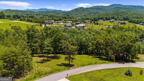 Photo of 32 2434 Standing Meadow Drive, Young Harris, GA 30582 (MLS # 10804111)