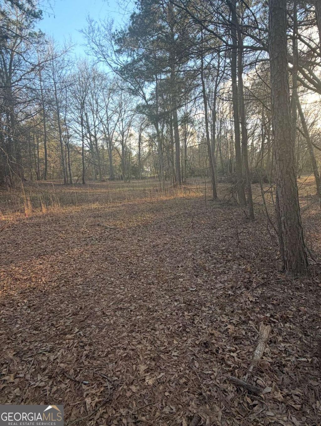 Photo of 0 Jett Roberts Road #LOT 2, Jefferson, GA 30549 (MLS # 10706758)
