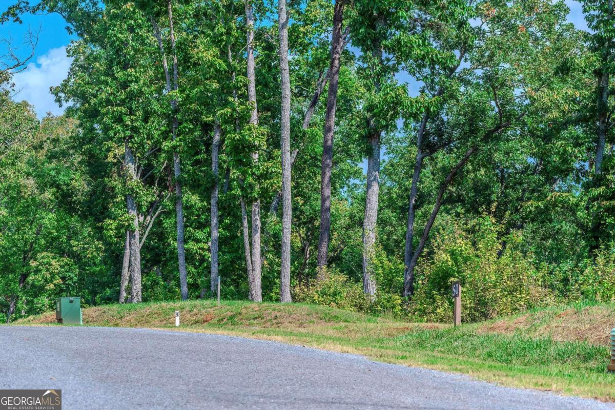 LOT 50 Jakes Landing WAY S