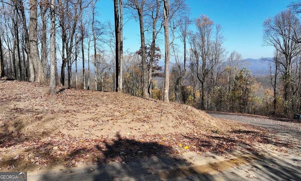 Photo of 0 Andes Ridge, Ellijay, GA 30143 (MLS # 10879318)