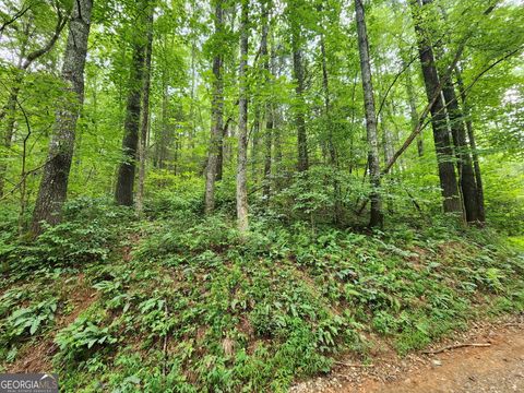 TRACT 2A Poplar Cove TRL Suches GA 30572