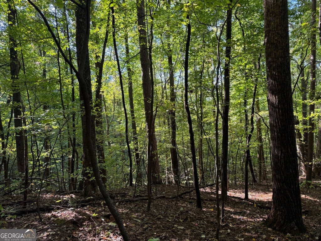 Photo of 0 Mountain View Court, Ellijay, GA 30536 (MLS # 10868193)