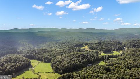 A home in Ellijay