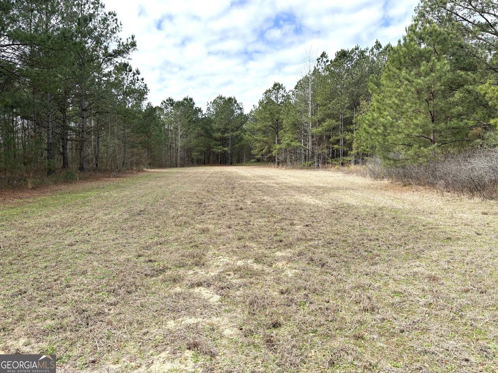 Photo of 7 W. Quaker Road, Keysville, GA 30816 (MLS # 10705030)