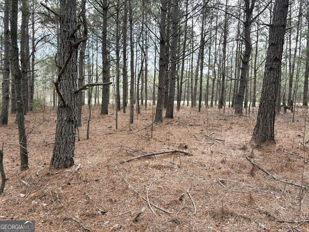 Photo of 7 W. Quaker Road, Keysville, GA 30816 (MLS # 10705030)