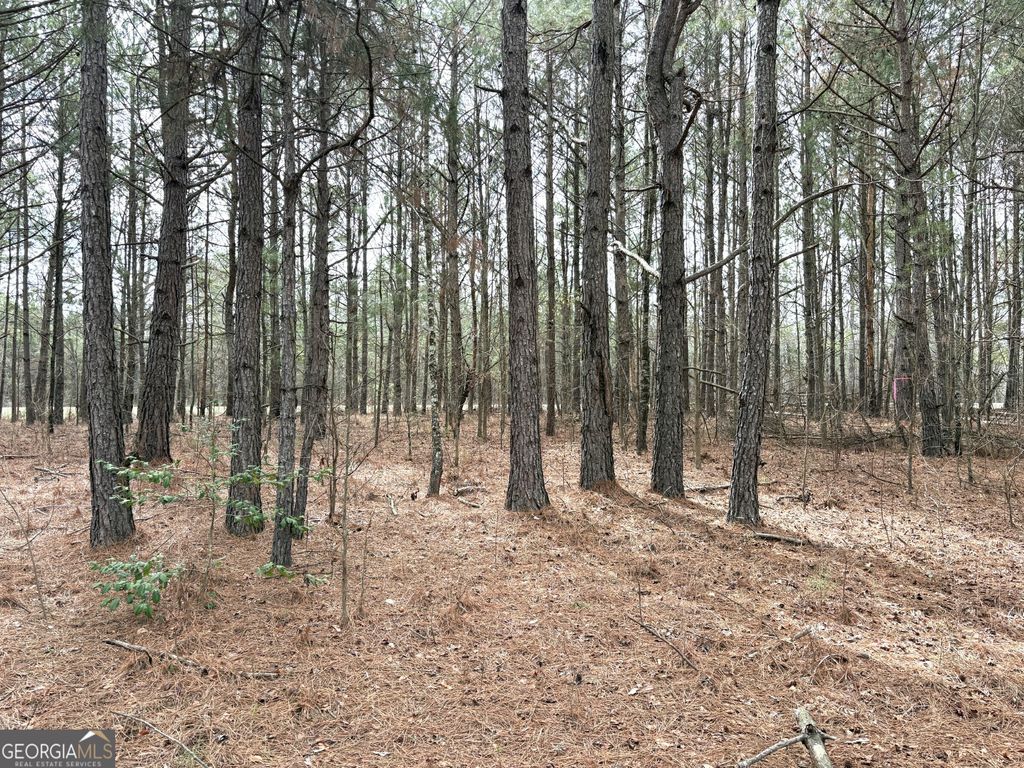 Photo of 7 W. Quaker Road, Keysville, GA 30816 (MLS # 10705030)