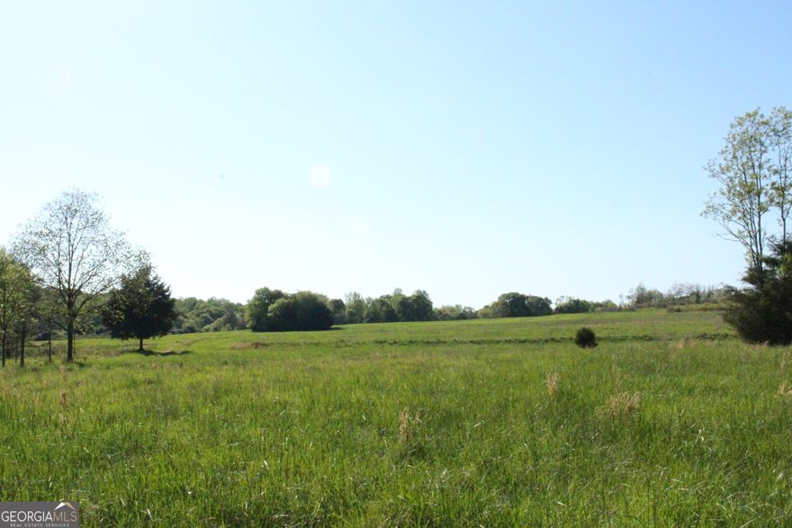 or Sale: 100 Acres of Prime Investment Land Near Downtown Athens Positioned just 3.5 miles from the heart of Athens, this expansive property offers unmatched potential. Featuring open pastures, wooded trails, and multiple ponds, it's perfectly suited for a mixed-use project, eco-community, or luxury farmstead. Frontage along the newly expanded Firefly Trail provides direct pedestrian and biking access to downtown and the University of Georgia. As growth continues east of Athens, this property sits at the center of opportunity-ideal for forward-thinking investors or developers. This 100 acre property for sale is made up of two parcels. Address: 1695 Spring Valley Rd Parcel ID: 223 017 Acres: 73.54 Address: 1401 Murrell Rd Parcel ID: 223 017A Acres: 26.08 (The property is currently under an agricultural easement with Athens-Clarke County, which can be terminated at any time. This should not be confused with a conservation easement through Athens Land Trust, which is permanent and carries different restrictions)