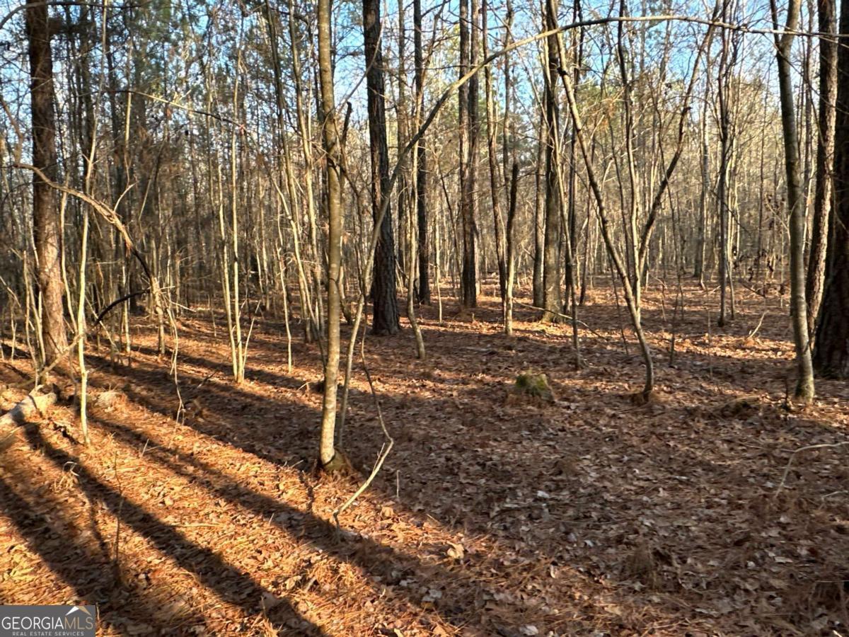 0 Buttermilk RD