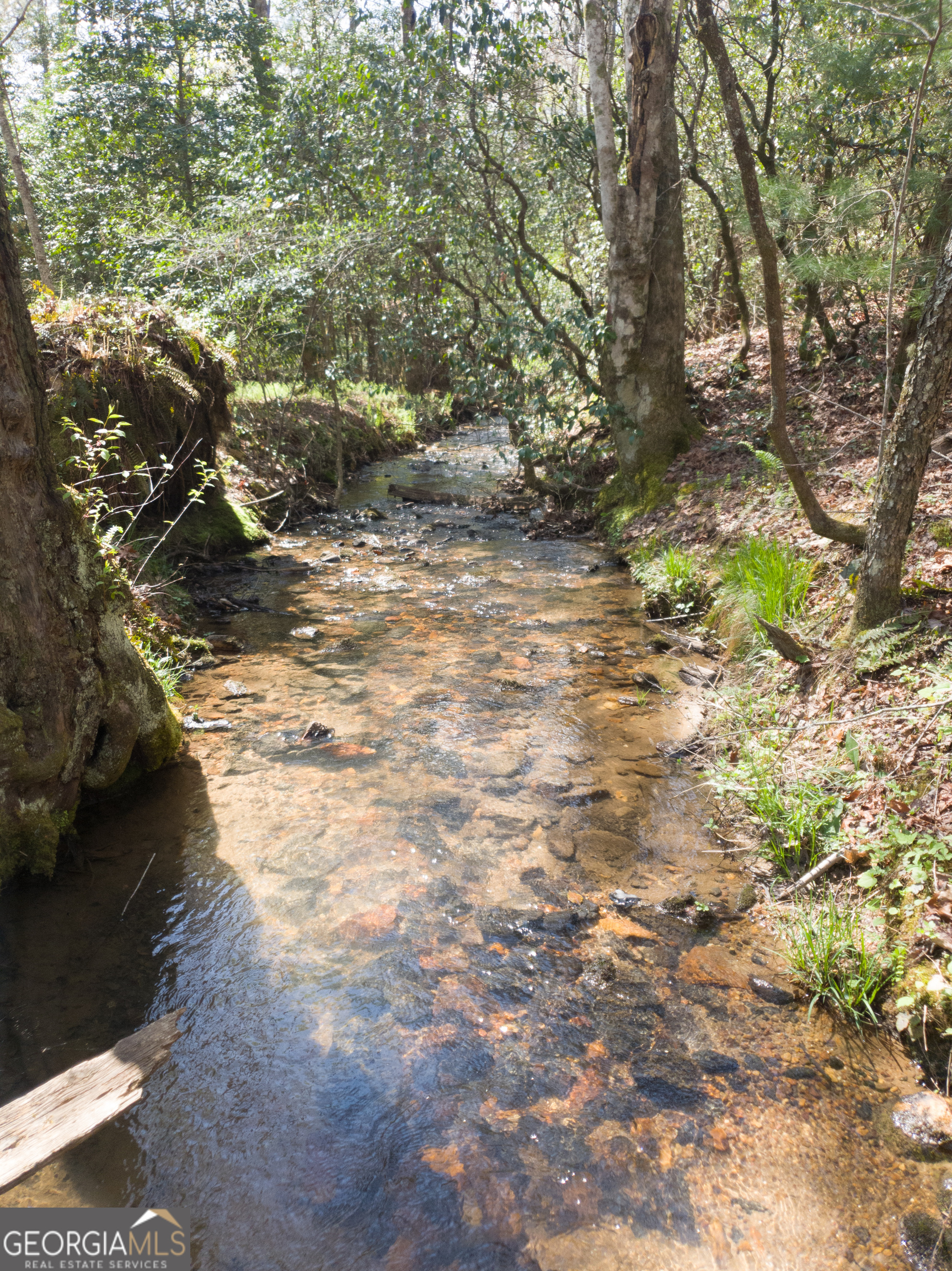 350 Miller Cove RD