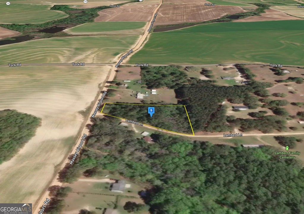 Photo of 2125 Massey Airport Road, Sylvester, GA 31791 (MLS # 10877433)