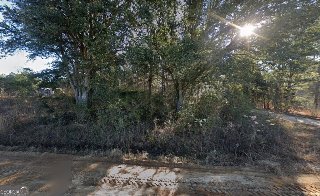 Photo of 2125 Massey Airport Road, Sylvester, GA 31791 (MLS # 10877433)