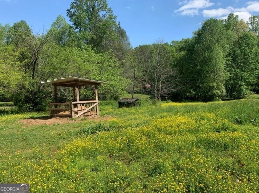 Photo of 22 Old Bullen Gap Road, Blue Ridge, GA 30513 (MLS # 10706564)