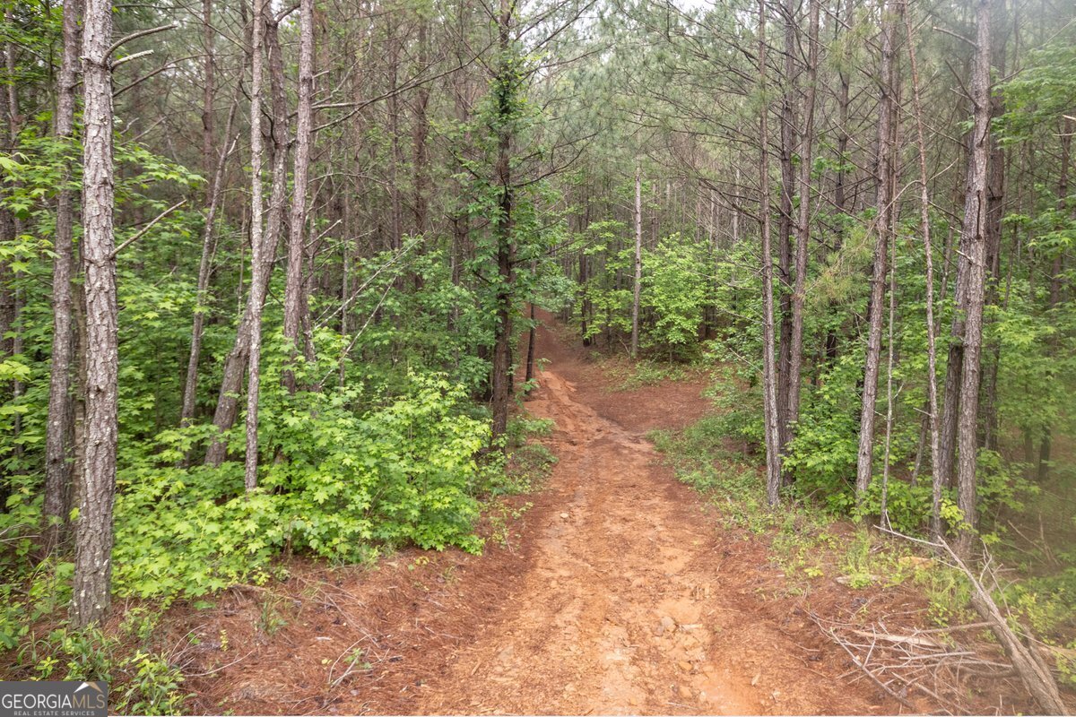 0 Hidden Creek Road
