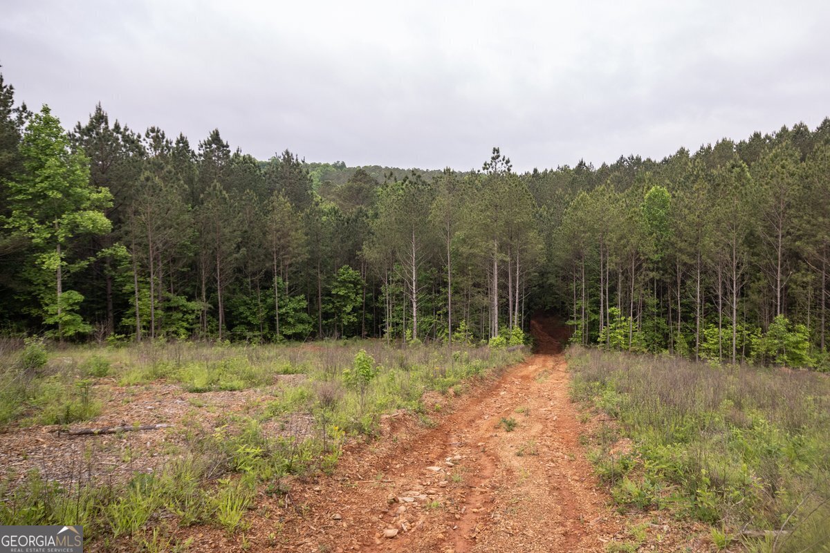 0 Hidden Creek Road