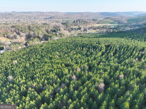Photo of 91 +/- Acres on Fosters Mill Rd. (GA Hwy 100), Cave Spring, GA 30124 (MLS # 10742455)