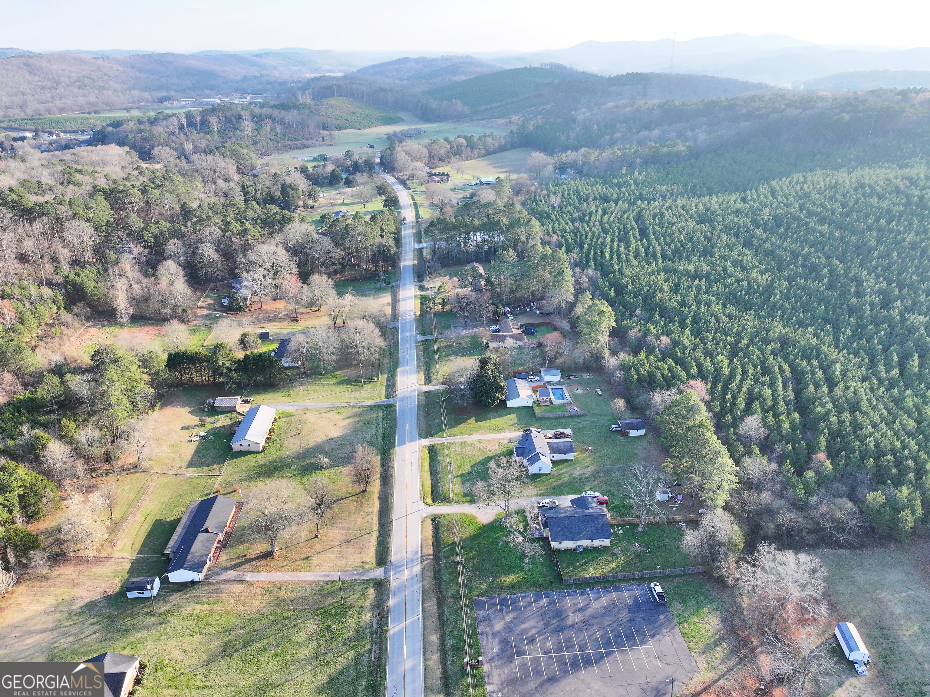 91 +/- Acres on Fosters Mill Rd. (GA Hwy 100)