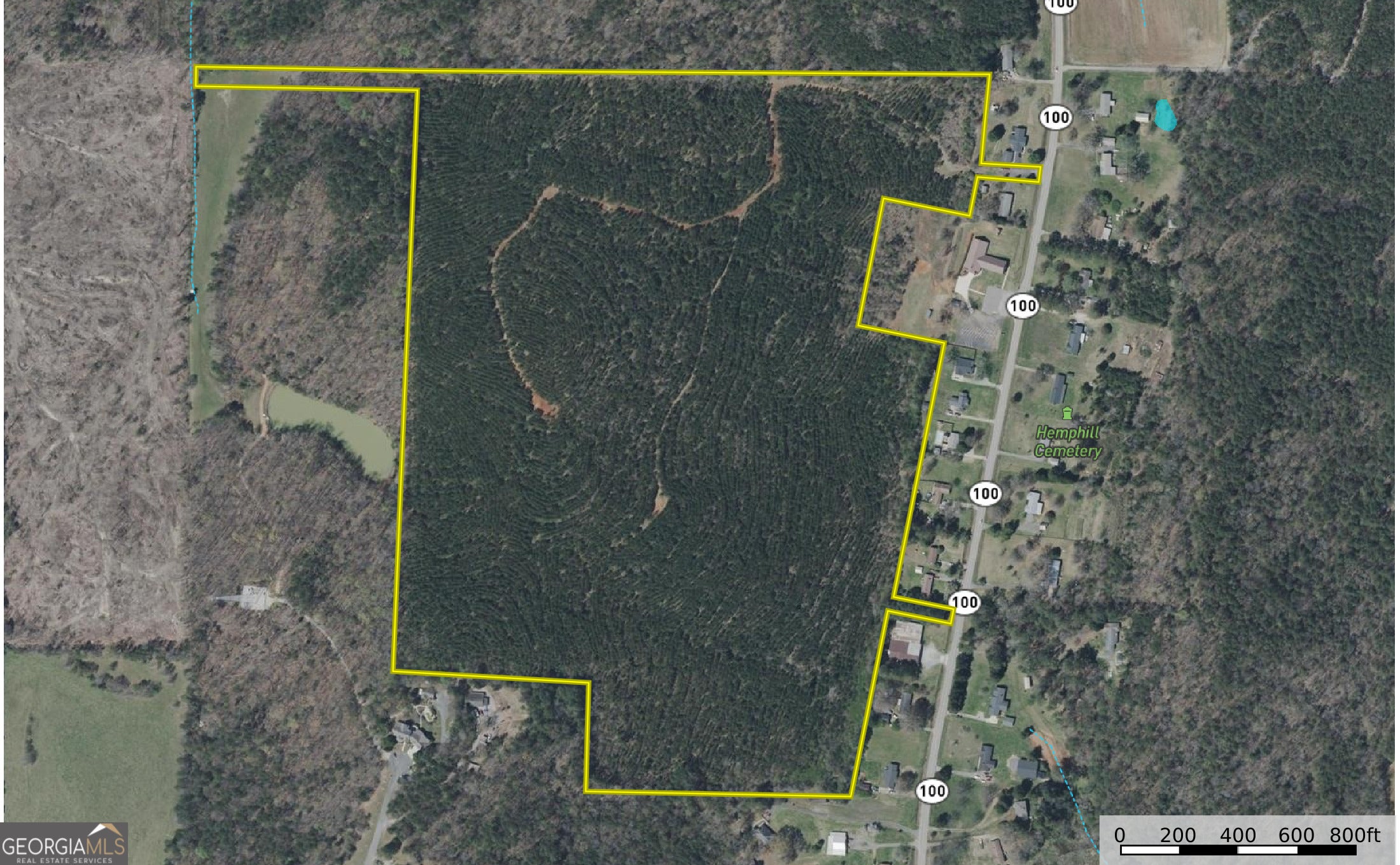 91 +/- Acres on Fosters Mill Rd. (GA Hwy 100)