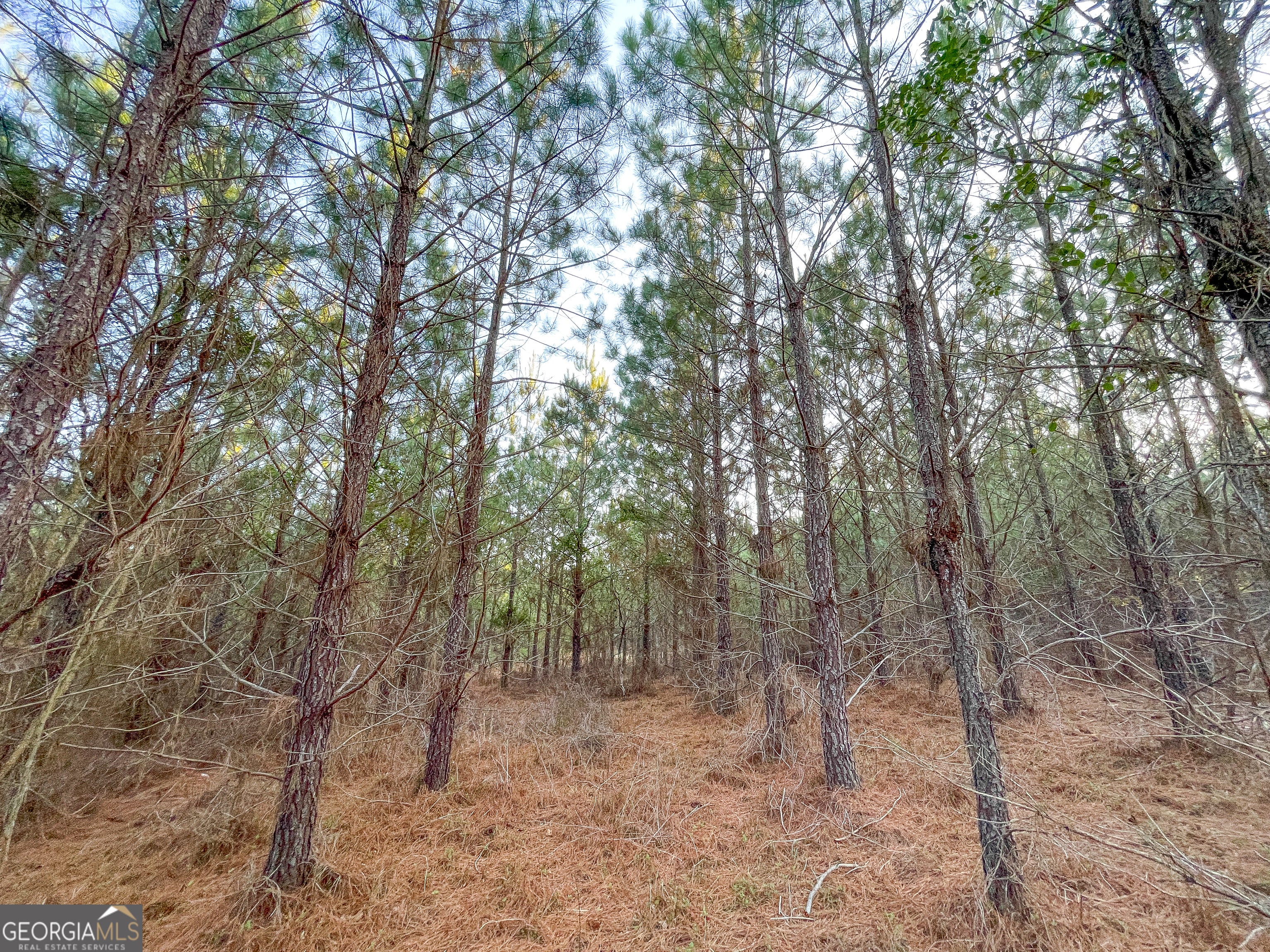 91 +/- Acres on Fosters Mill Rd. (GA Hwy 100)