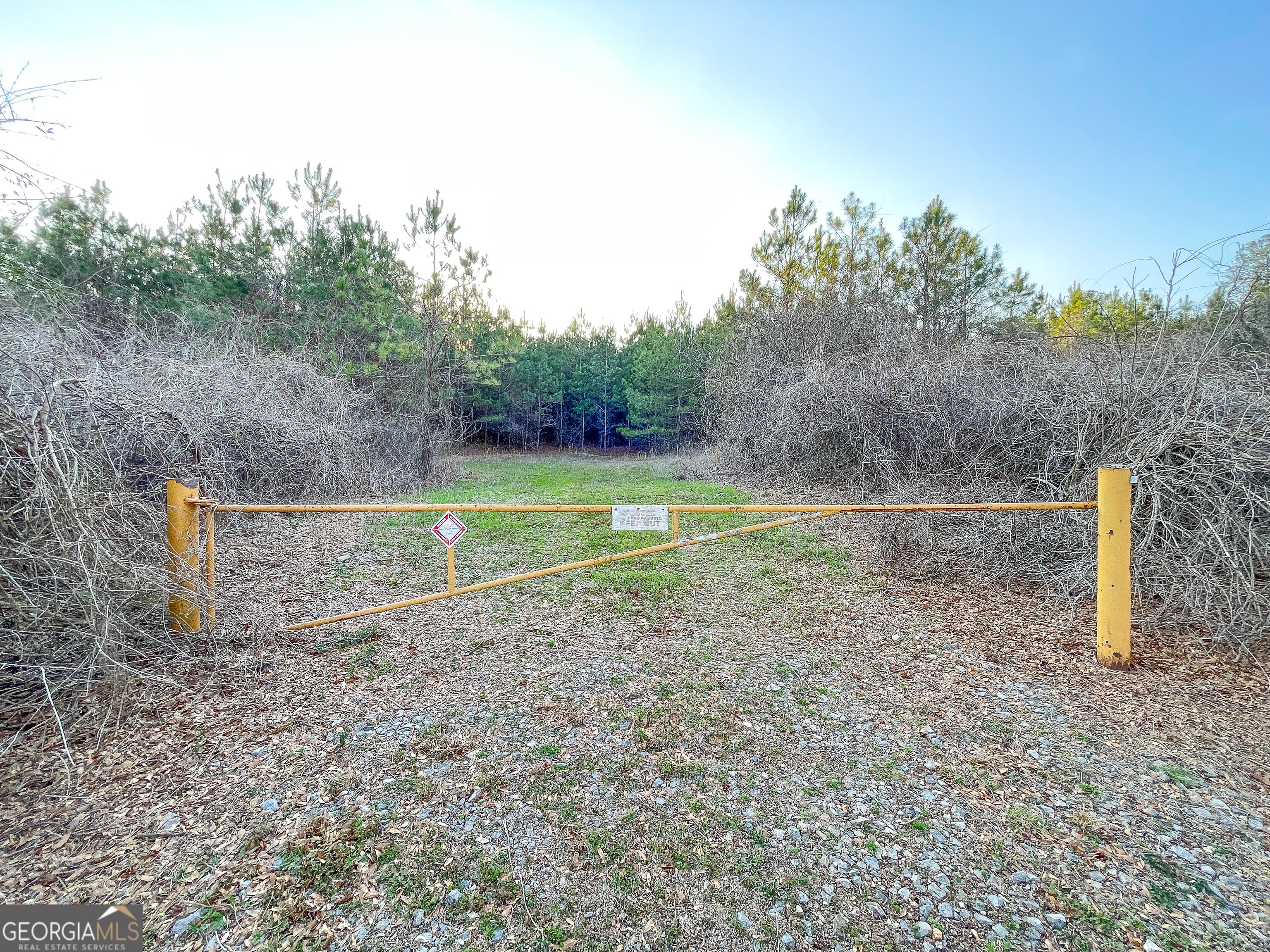 91 +/- Acres on Fosters Mill Rd. (GA Hwy 100)