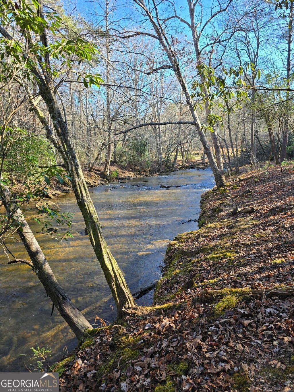 Photo of 11 Spence Road, Epworth, GA 30541 (MLS # 10662004)