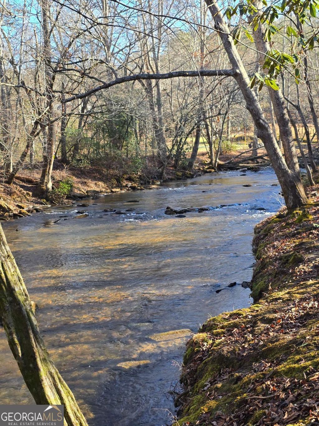 Photo of 11 Spence Road, Epworth, GA 30541 (MLS # 10662004)