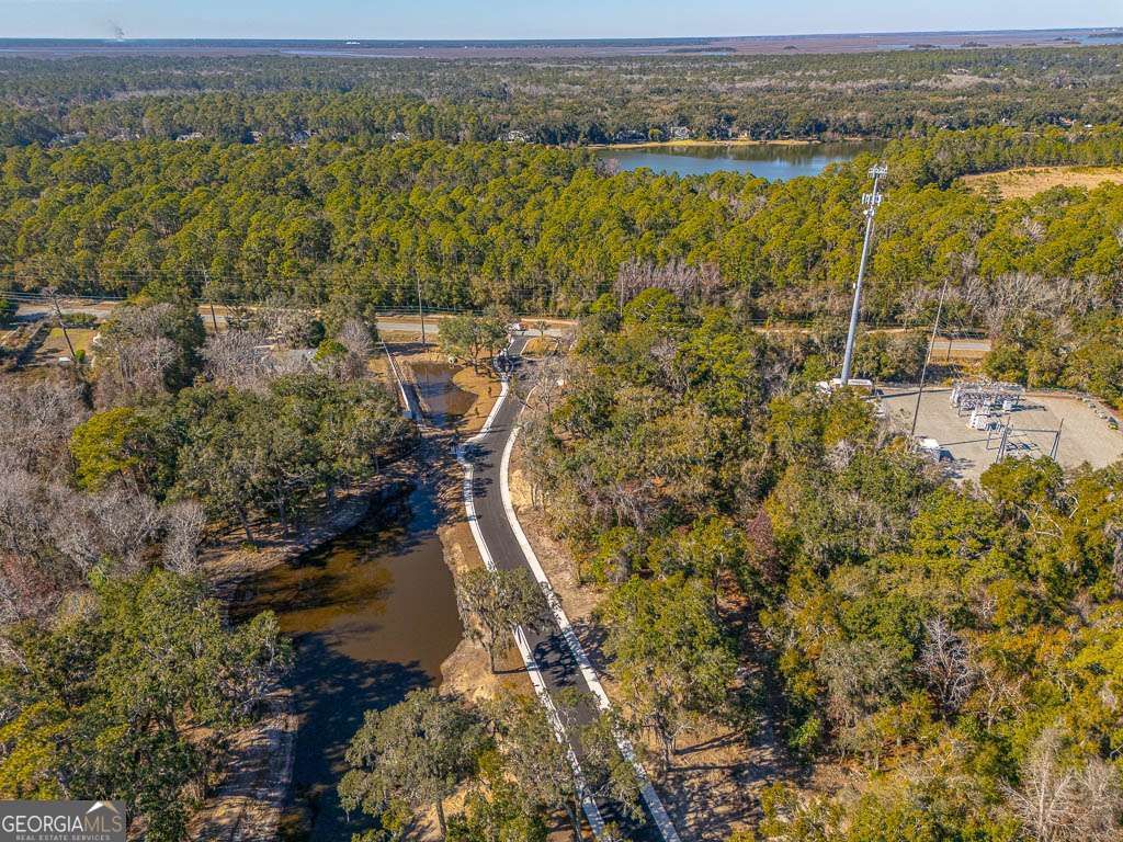Photo of 143 Canopy Lane, St. Simons, GA 31522 (MLS # 10688205)